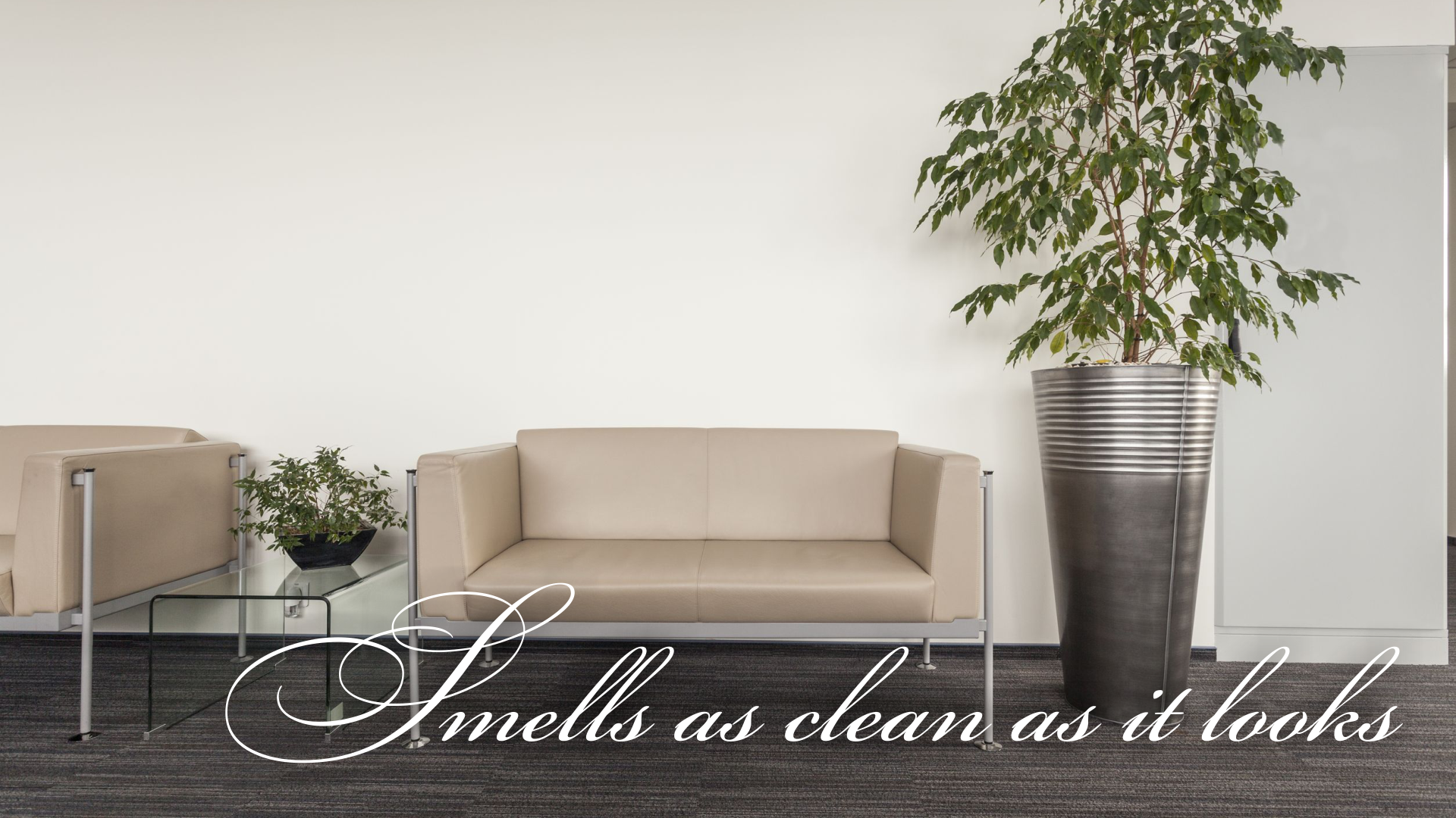 clean commercial spaces