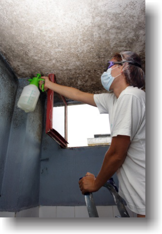 image of mould remediation 